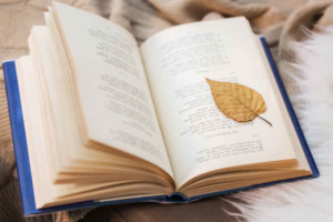 Open poetry book with leaf atop.